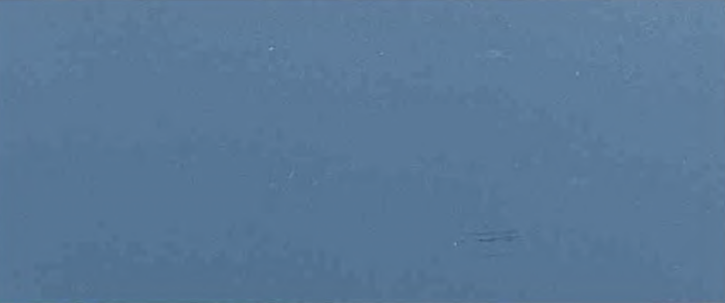 Arctic Frost